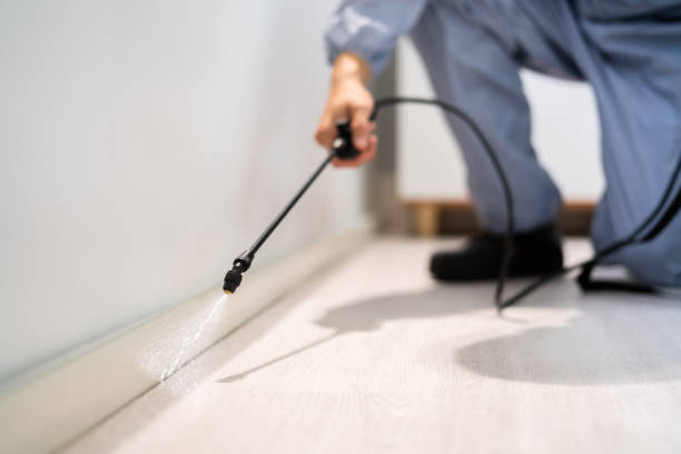 Licensed Pest Control service in Muskegon Heights, MI - Show Me Pest Control