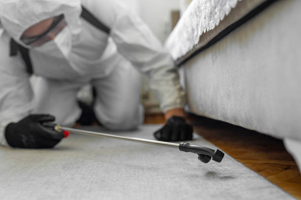Professional Ant Control technician working in Muskegon Heights, MI