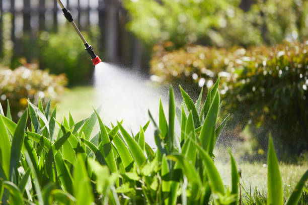 24/7 Emergency Ant Control experts in Muskegon Heights, MI